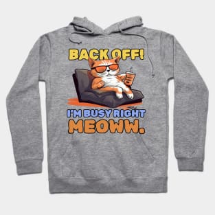 Back off! I'm busy right meow. Hoodie